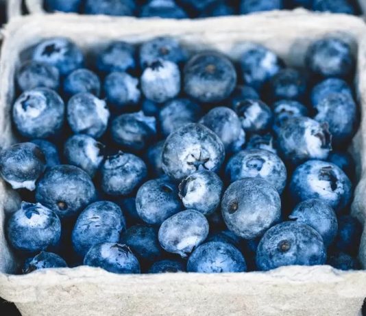 La maniobra peruana que involucra a Chile y su papel como mayor exportador de arándanos.