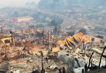 Cámara Chilena de la Construcción anuncia apoyo con maquinaria en zonas afectadas por incendios en Ñuble y Bío Bío.