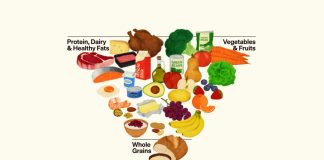 Nueva pirámide alimenticia: conoce los principales cambios del nuevo esquema nutricional de EE.UU.